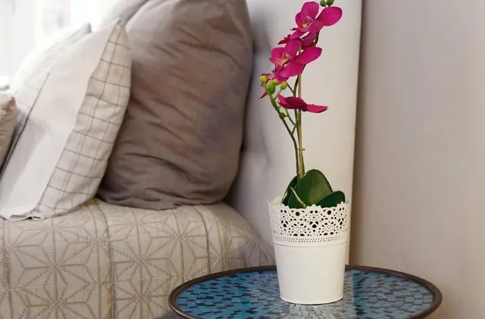 Luxury In Cardosas Appartement